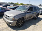 2006 Chevrolet Trailblazer Ls Серебряный vin: 1GNDS13S062360954