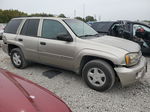 2002 Chevrolet Trailblazer  Beige vin: 1GNDS13S122295641