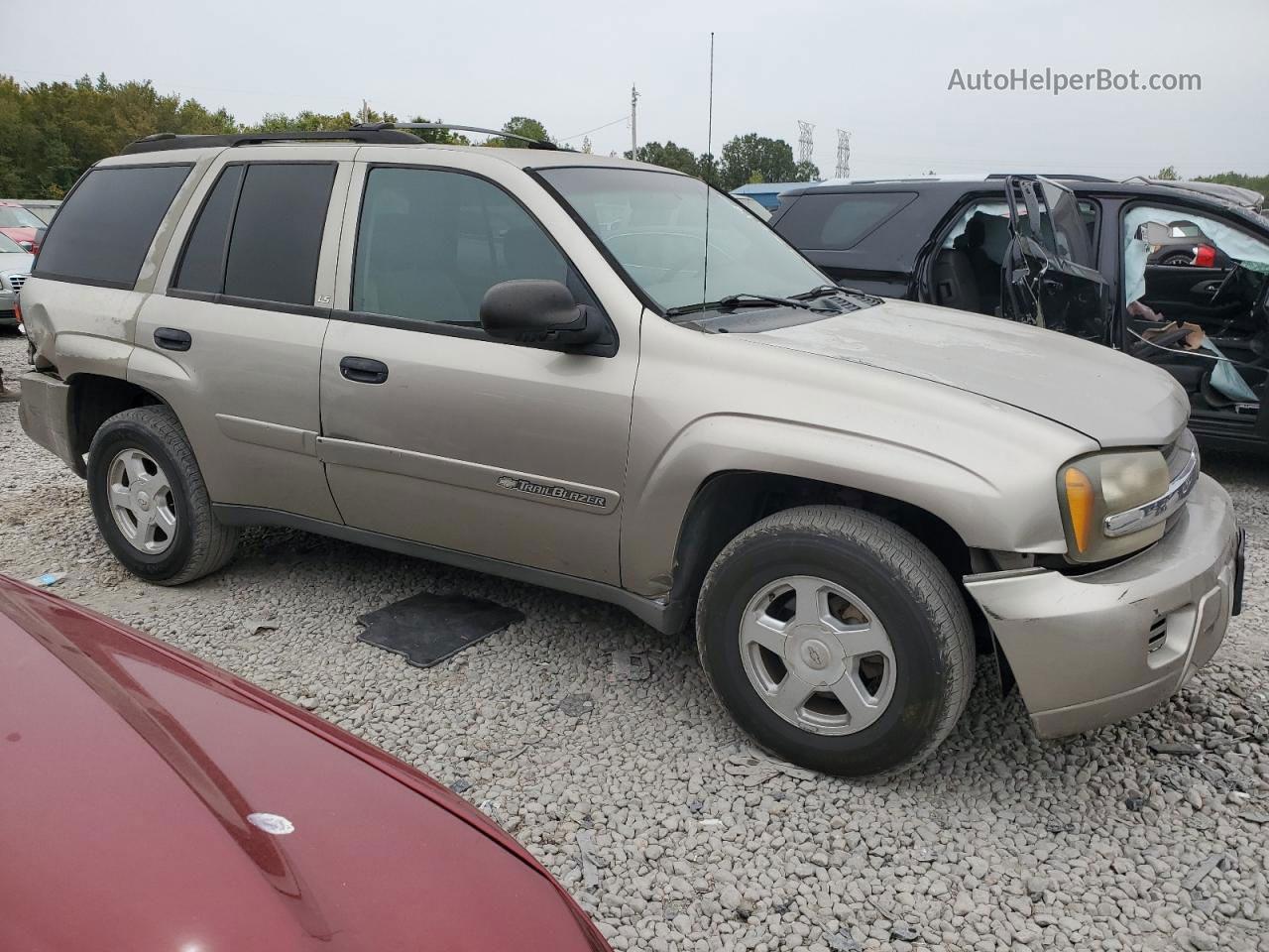 2002 Chevrolet Trailblazer  Beige vin: 1GNDS13S122295641