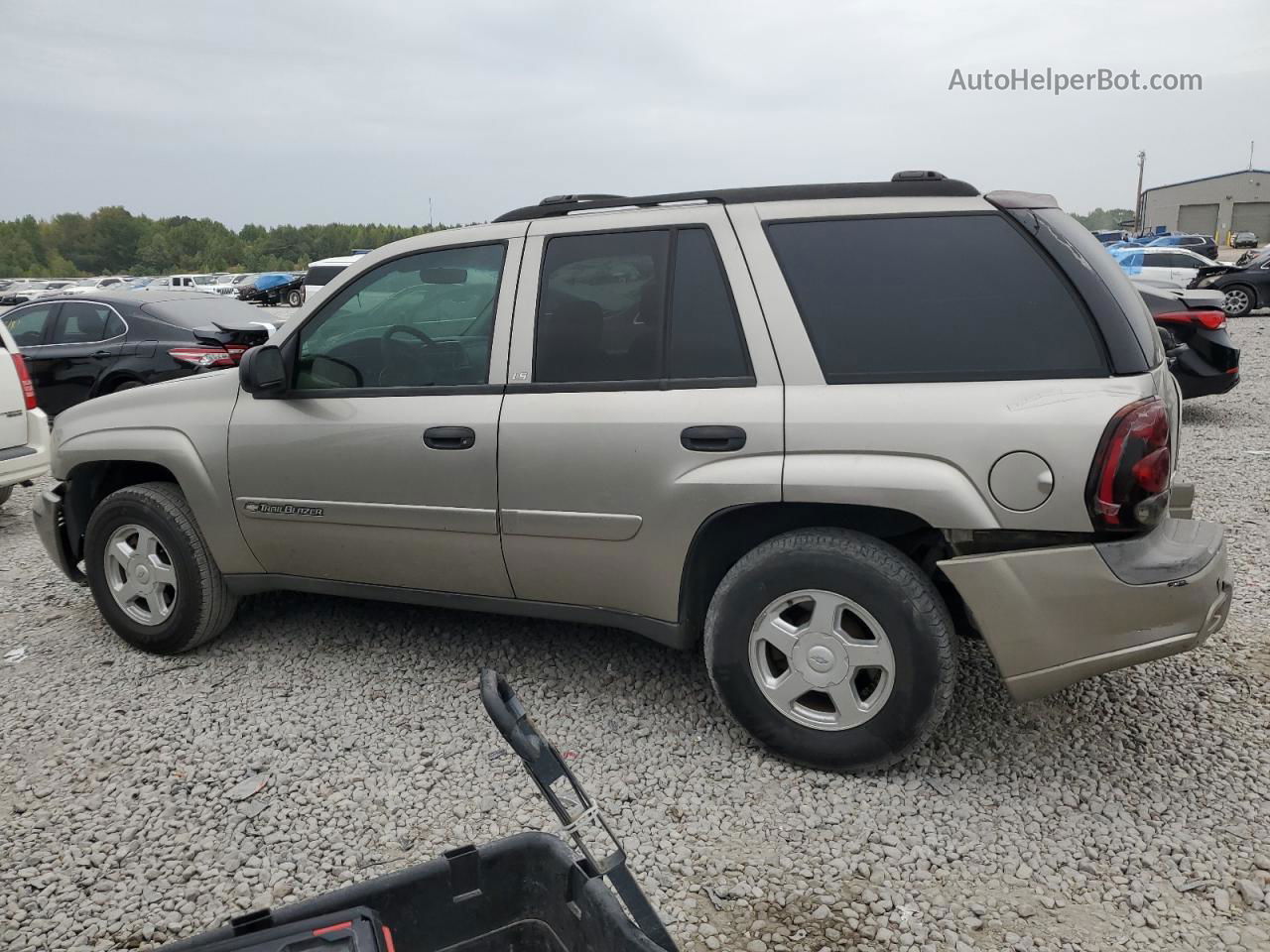 2002 Chevrolet Trailblazer  Beige vin: 1GNDS13S122295641