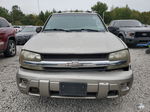 2002 Chevrolet Trailblazer  Beige vin: 1GNDS13S122295641