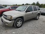 2002 Chevrolet Trailblazer  Beige vin: 1GNDS13S122295641