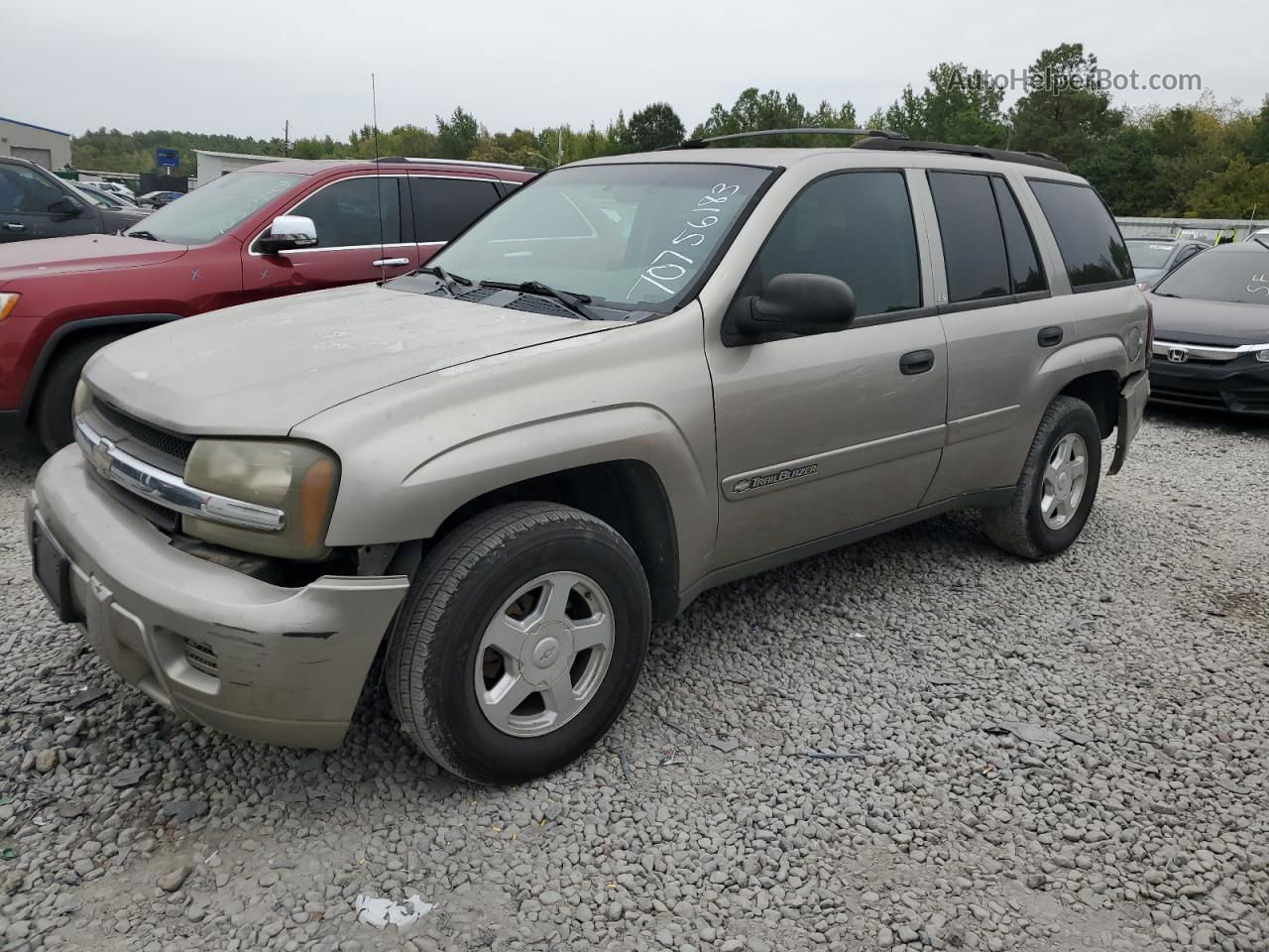 2002 Chevrolet Trailblazer  Beige vin: 1GNDS13S122295641