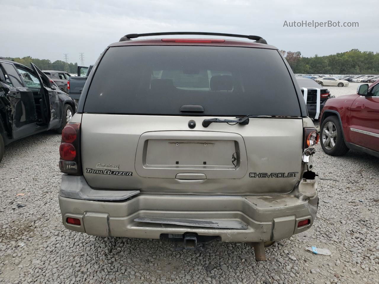 2002 Chevrolet Trailblazer  Beige vin: 1GNDS13S122295641