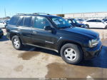 2002 Chevrolet Trailblazer Ls Черный vin: 1GNDS13S122476769