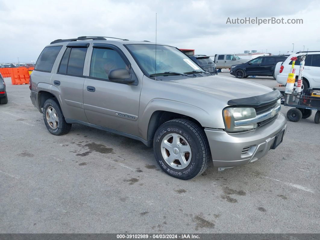 2002 Chevrolet Trailblazer Ls Gold vin: 1GNDS13S122499338