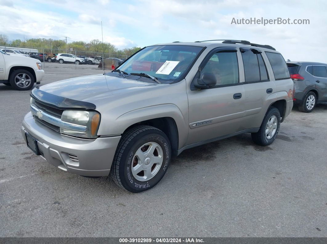 2002 Chevrolet Trailblazer Ls Gold vin: 1GNDS13S122499338