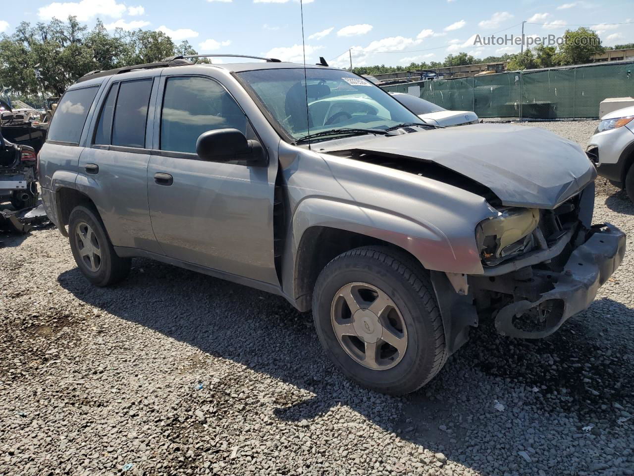 2006 Chevrolet Trailblazer Ls Gray vin: 1GNDS13S162127570