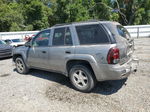 2006 Chevrolet Trailblazer Ls Gray vin: 1GNDS13S162127570