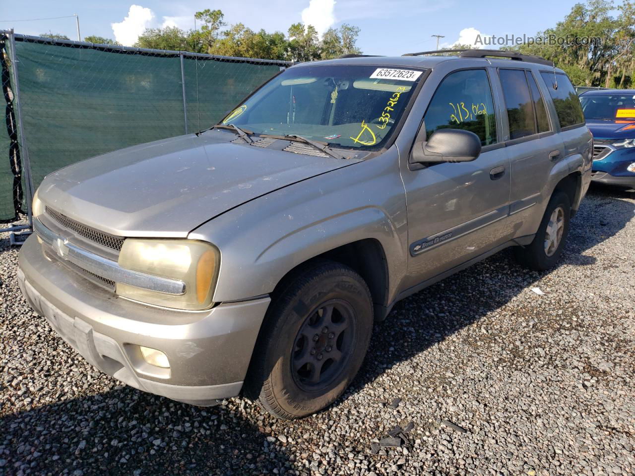 2002 Chevrolet Trailblazer  Beige vin: 1GNDS13S222155632