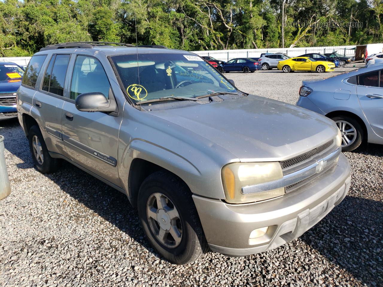 2002 Chevrolet Trailblazer  Beige vin: 1GNDS13S222155632