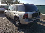 2002 Chevrolet Trailblazer  Beige vin: 1GNDS13S222155632