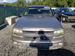 2002 Chevrolet Trailblazer  Beige vin: 1GNDS13S222155632