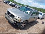 2002 Chevrolet Trailblazer Ls Gray vin: 1GNDS13S222222567