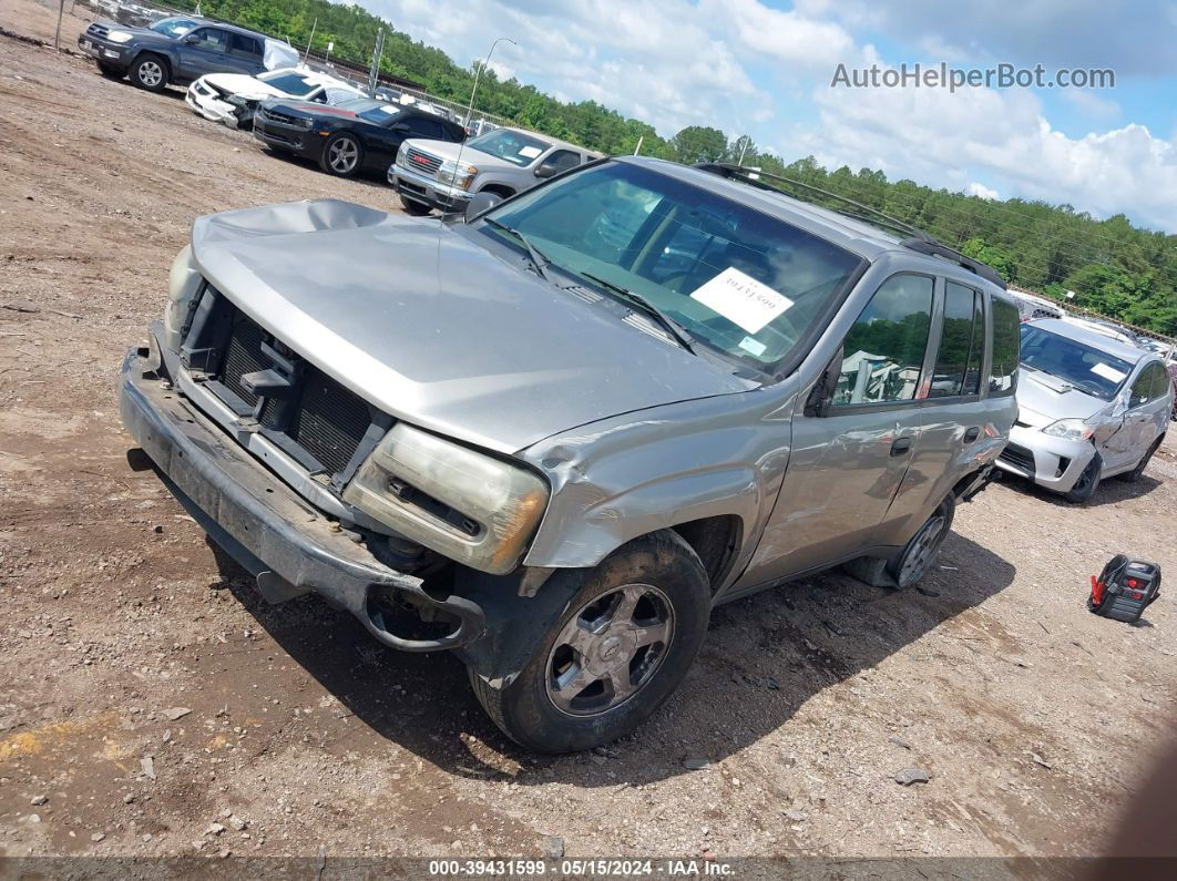 2002 Chevrolet Trailblazer Ls Серый vin: 1GNDS13S222222567