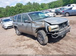 2002 Chevrolet Trailblazer Ls Gray vin: 1GNDS13S222222567