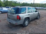 2002 Chevrolet Trailblazer Ls Gray vin: 1GNDS13S222222567