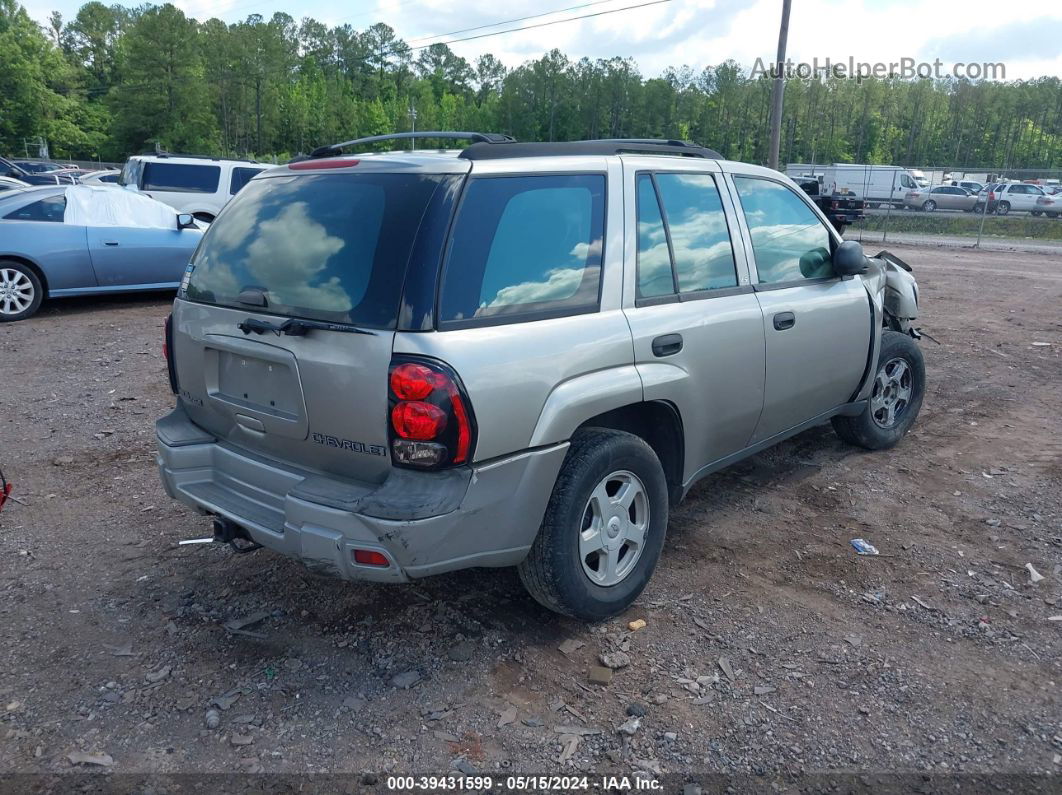 2002 Chevrolet Trailblazer Ls Gray vin: 1GNDS13S222222567