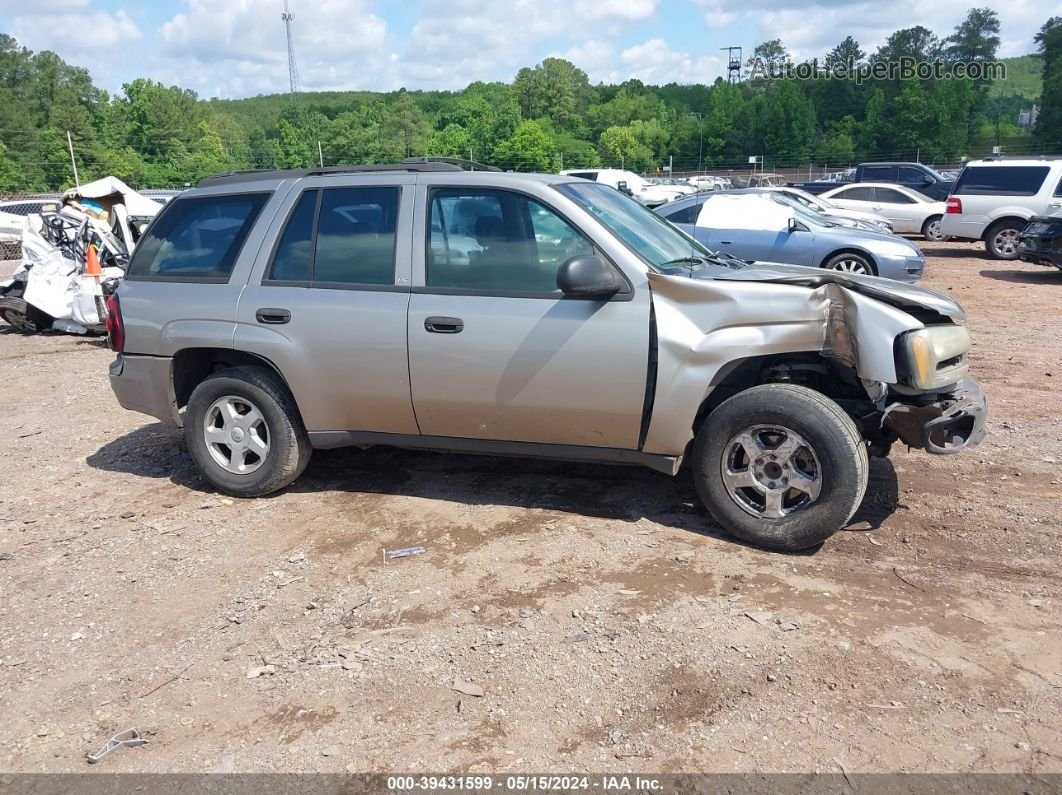 2002 Chevrolet Trailblazer Ls Gray vin: 1GNDS13S222222567