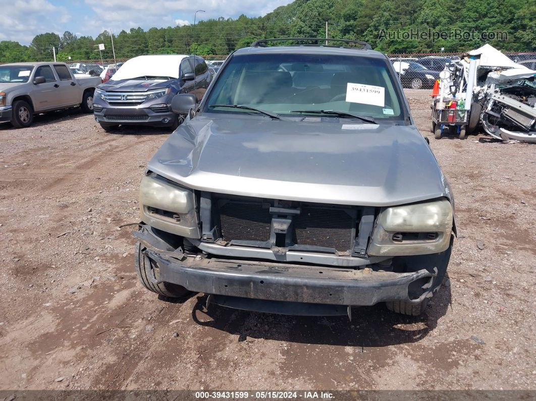 2002 Chevrolet Trailblazer Ls Gray vin: 1GNDS13S222222567