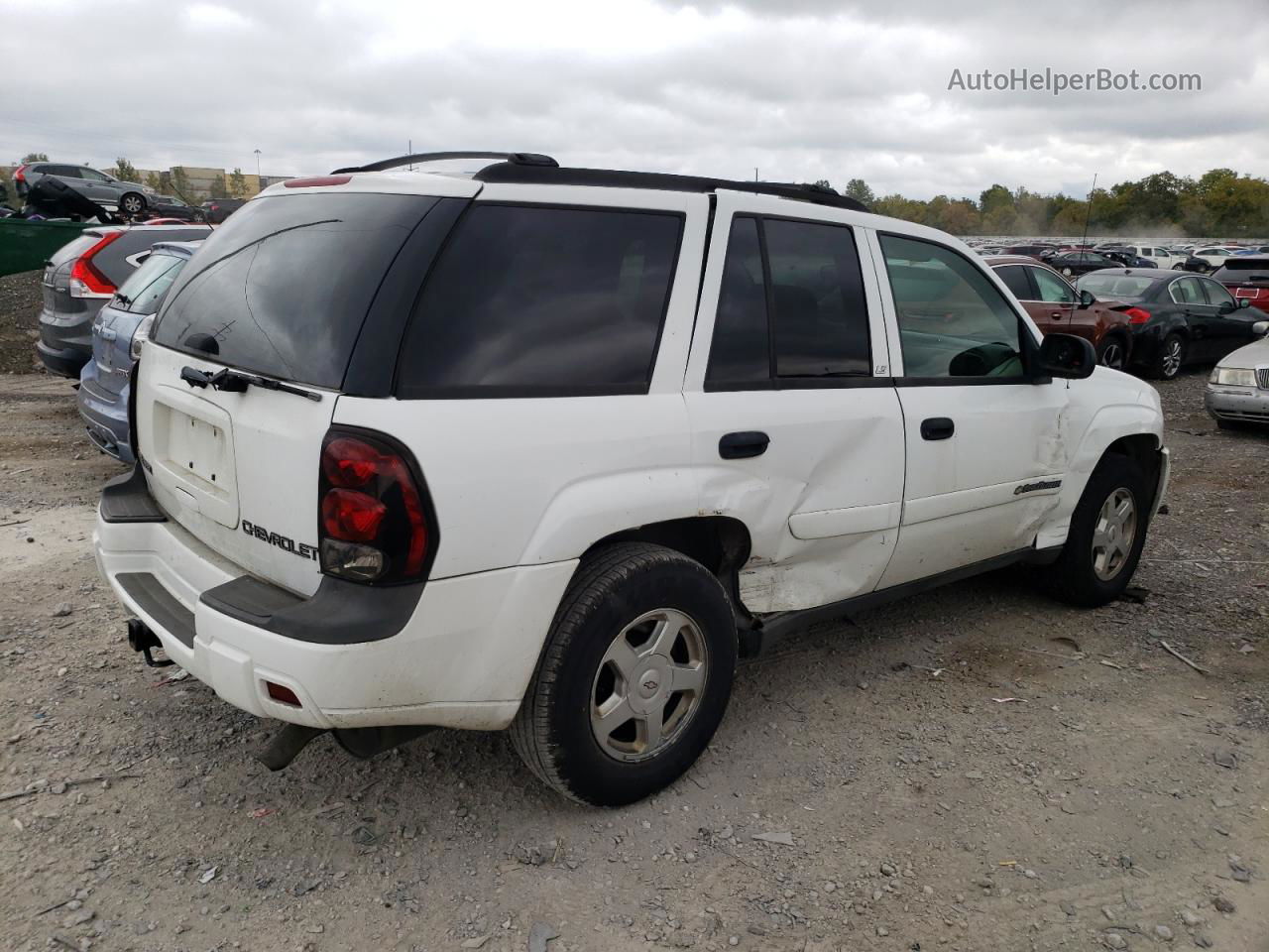 2002 Chevrolet Trailblazer  White vin: 1GNDS13S222272126