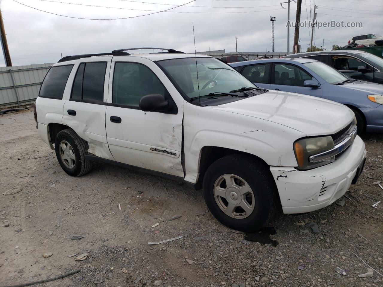 2002 Chevrolet Trailblazer  White vin: 1GNDS13S222272126