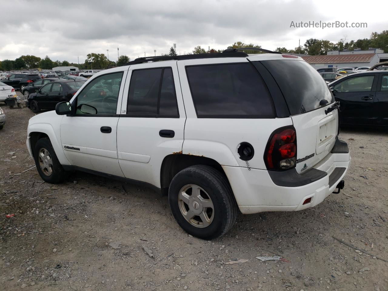 2002 Chevrolet Trailblazer  White vin: 1GNDS13S222272126