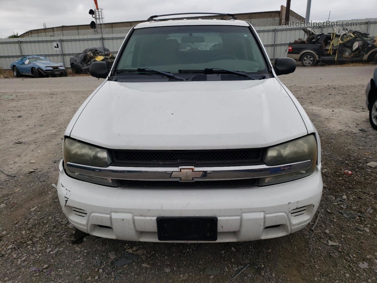 2002 Chevrolet Trailblazer  White vin: 1GNDS13S222272126