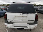 2002 Chevrolet Trailblazer  White vin: 1GNDS13S222272126