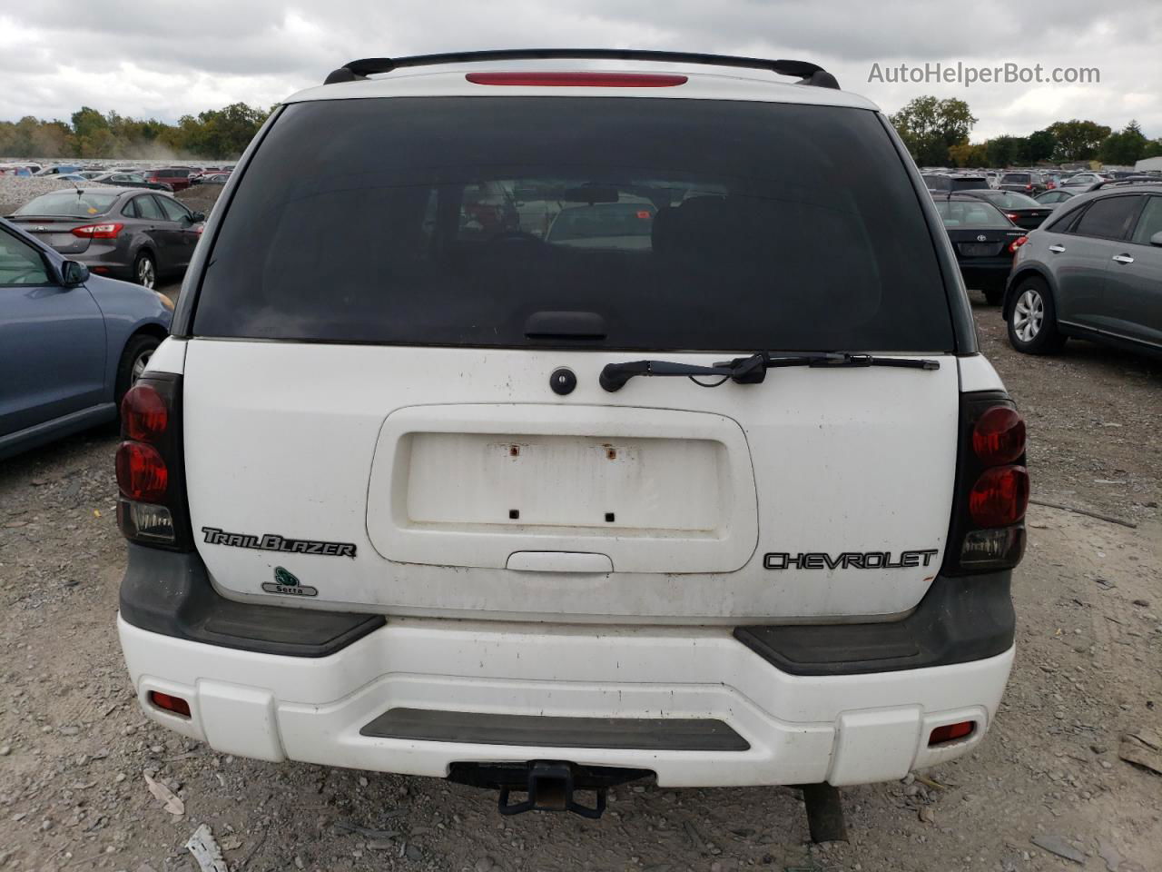 2002 Chevrolet Trailblazer  White vin: 1GNDS13S222272126