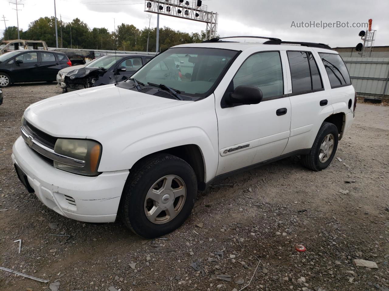 2002 Chevrolet Trailblazer  White vin: 1GNDS13S222272126