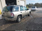 2002 Chevrolet Trailblazer Ls Золотой vin: 1GNDS13S222454442