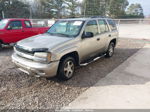 2002 Chevrolet Trailblazer Ls Золотой vin: 1GNDS13S222454442