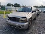 2002 Chevrolet Trailblazer  Серый vin: 1GNDS13S222486033