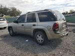 2002 Chevrolet Trailblazer  Beige vin: 1GNDS13S222509309