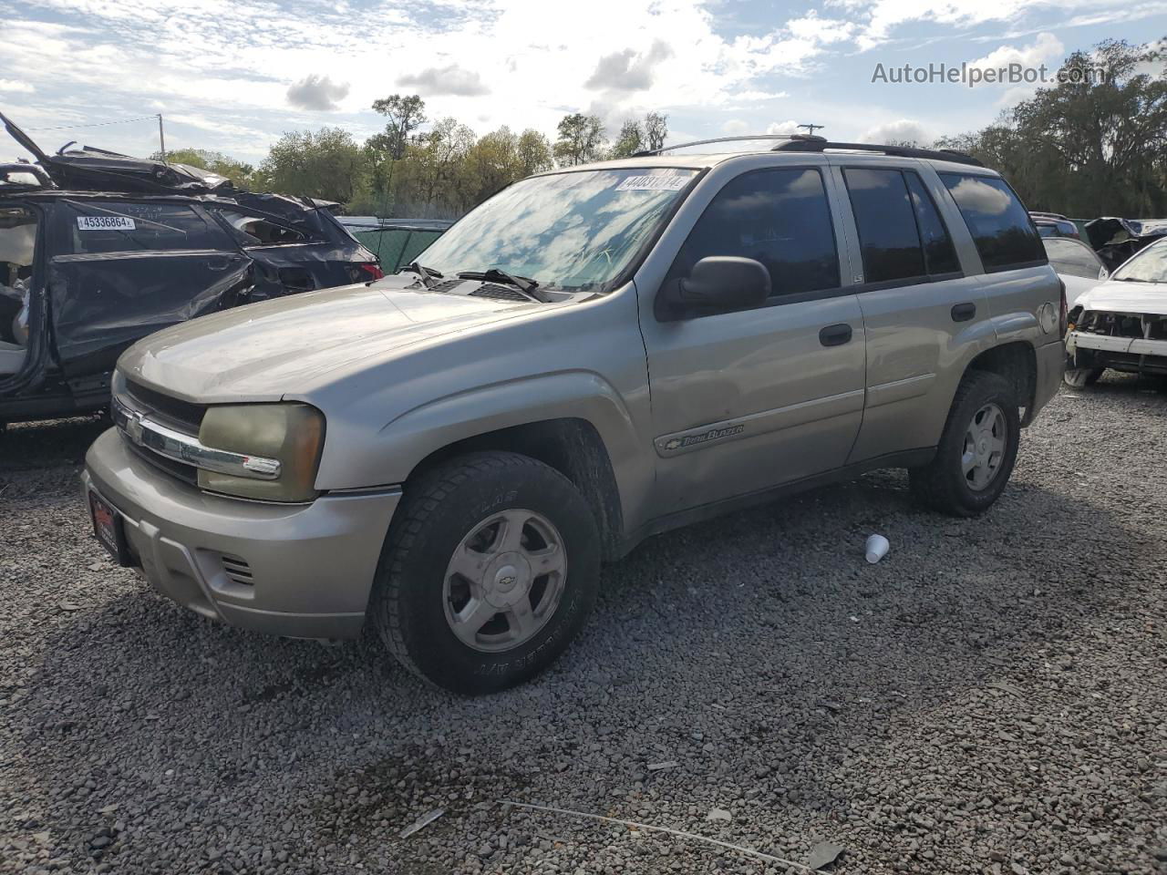 2002 Chevrolet Trailblazer  Бежевый vin: 1GNDS13S222509309