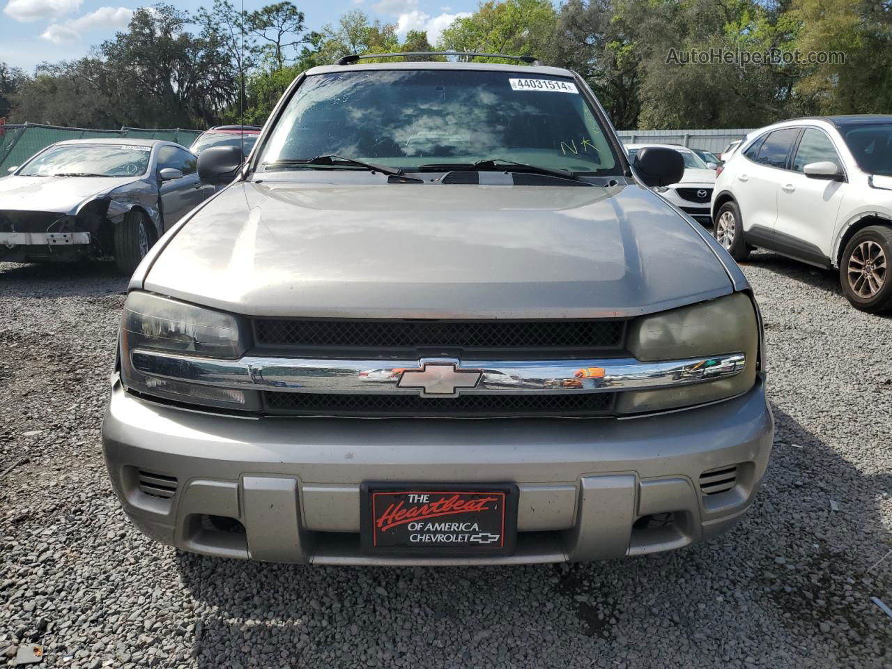 2002 Chevrolet Trailblazer  Beige vin: 1GNDS13S222509309