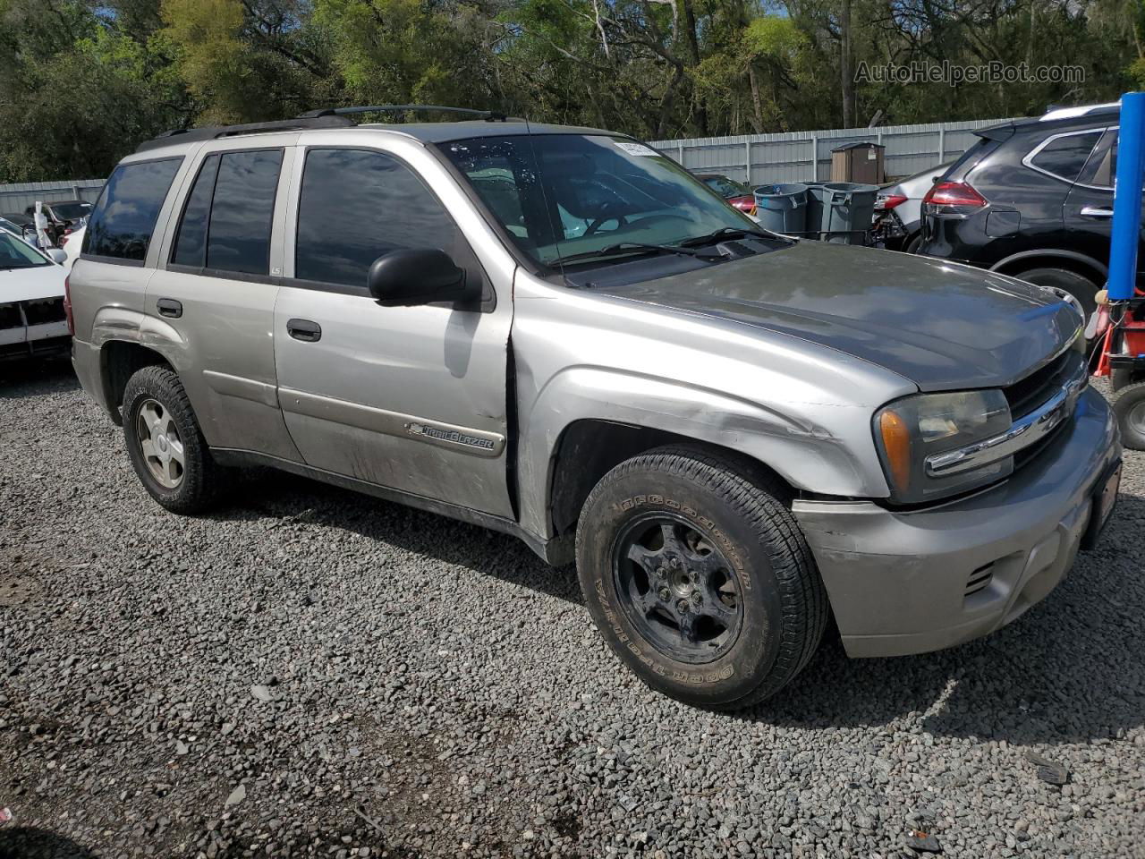 2002 Chevrolet Trailblazer  Beige vin: 1GNDS13S222509309