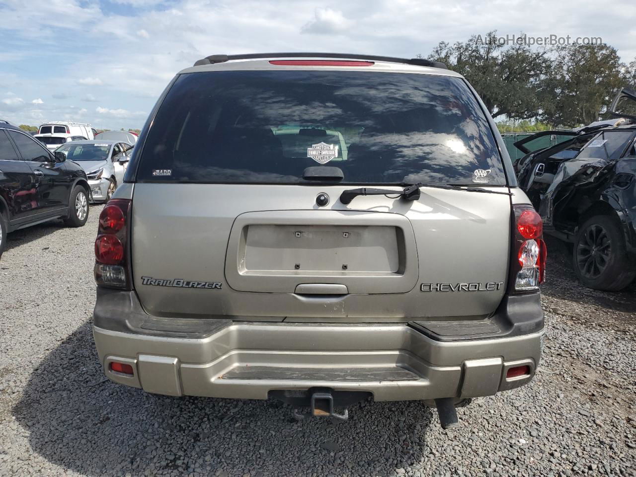 2002 Chevrolet Trailblazer  Beige vin: 1GNDS13S222509309