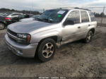 2006 Chevrolet Trailblazer Ls Silver vin: 1GNDS13S262360048