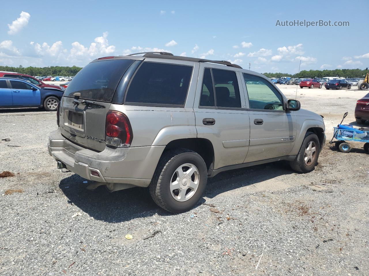 2002 Chevrolet Trailblazer  Tan vin: 1GNDS13S322154697