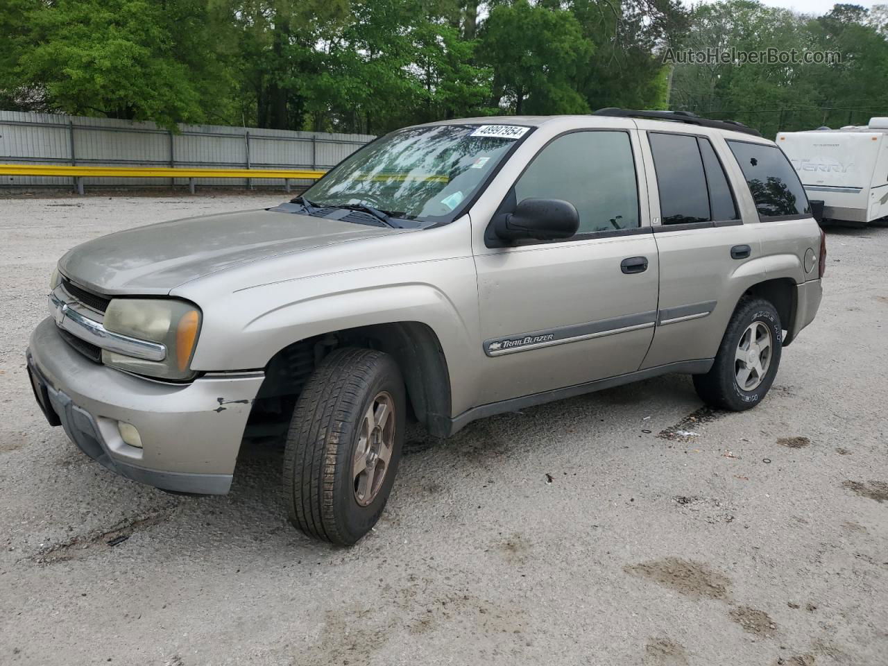 2002 Chevrolet Trailblazer  Beige vin: 1GNDS13S322259045