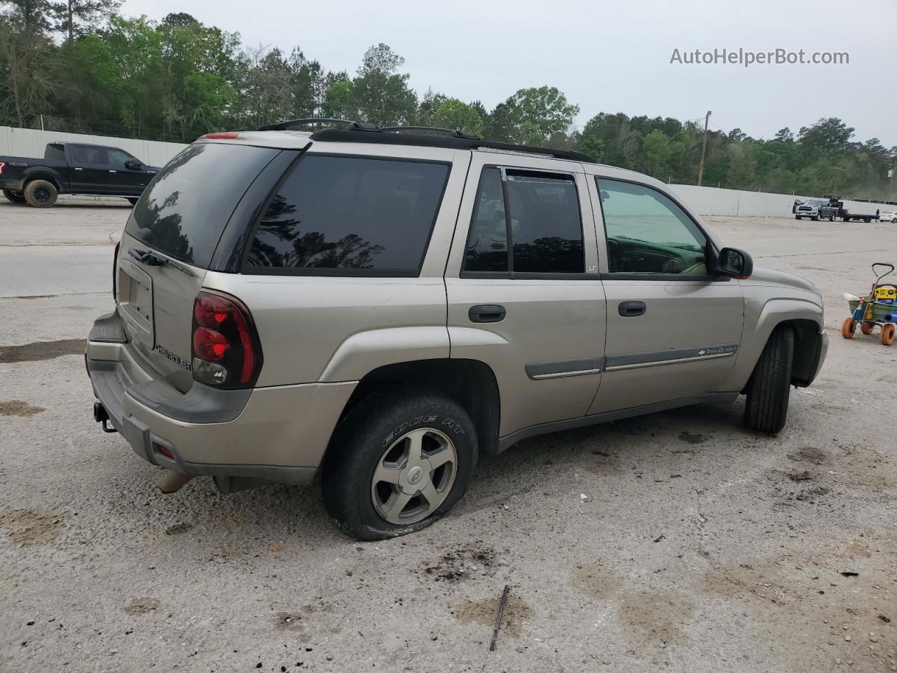 2002 Chevrolet Trailblazer  Бежевый vin: 1GNDS13S322259045