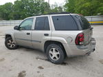 2002 Chevrolet Trailblazer  Бежевый vin: 1GNDS13S322259045