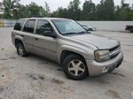 2002 Chevrolet Trailblazer  Beige vin: 1GNDS13S322259045