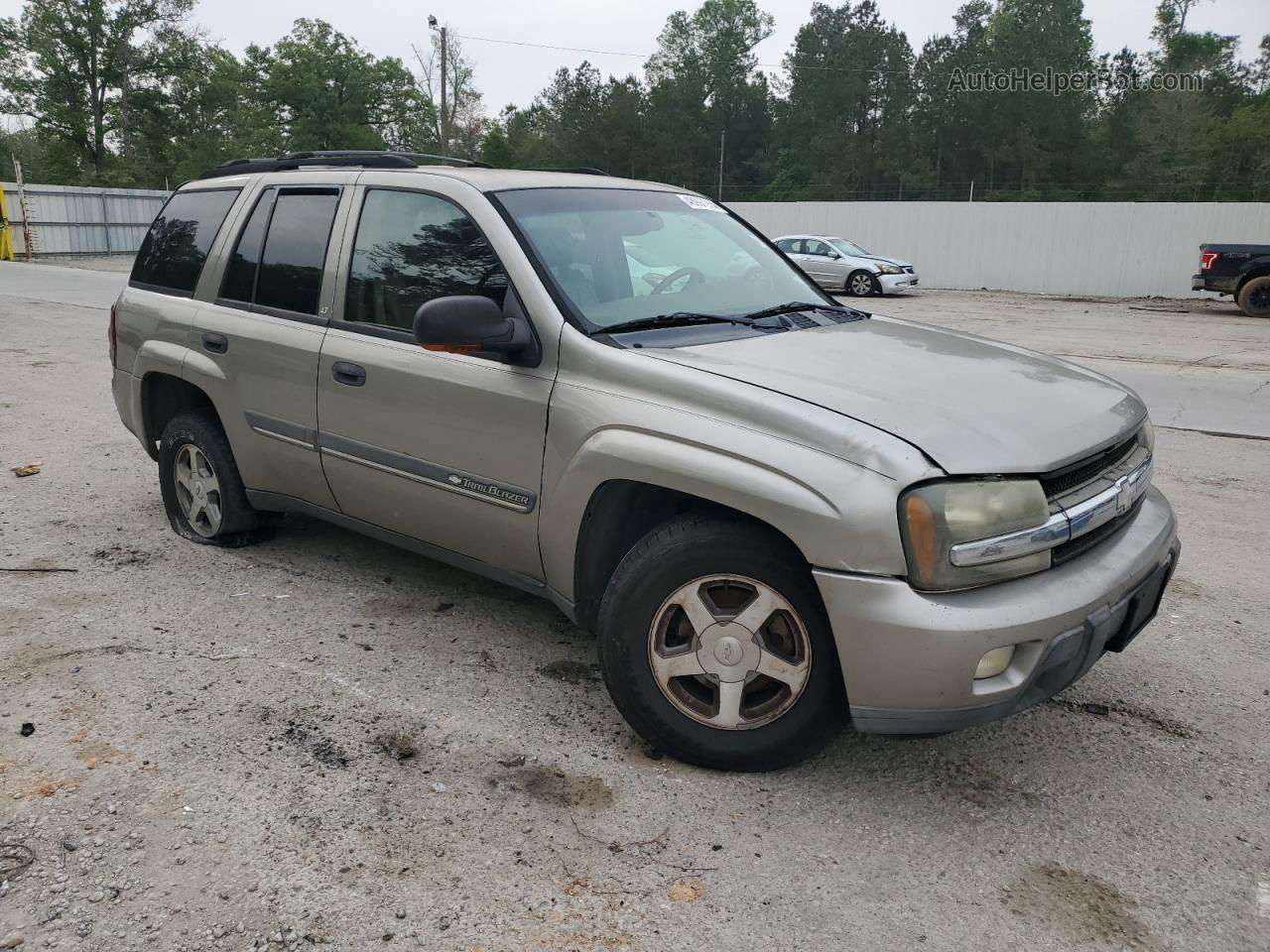 2002 Chevrolet Trailblazer  Бежевый vin: 1GNDS13S322259045