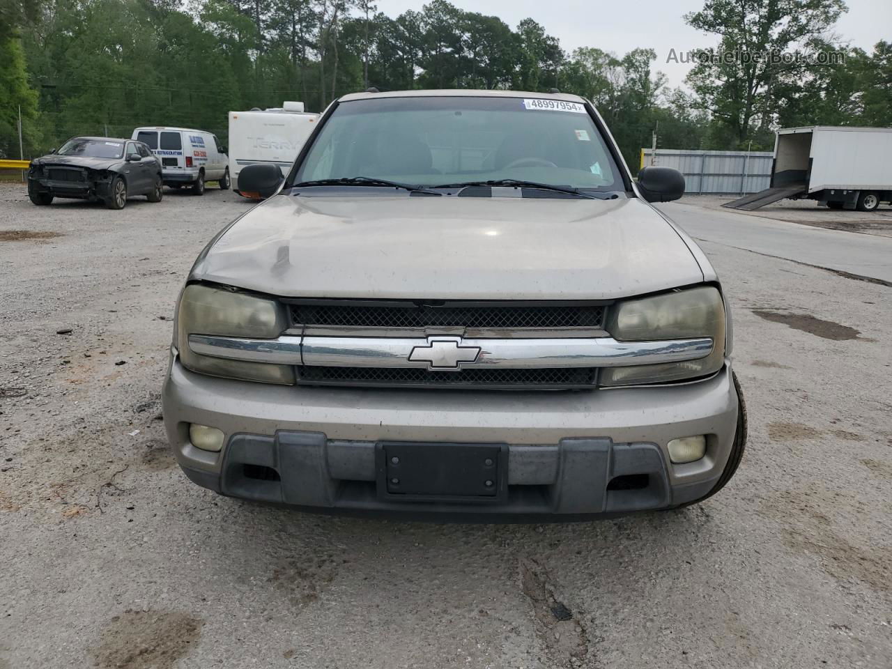 2002 Chevrolet Trailblazer  Beige vin: 1GNDS13S322259045