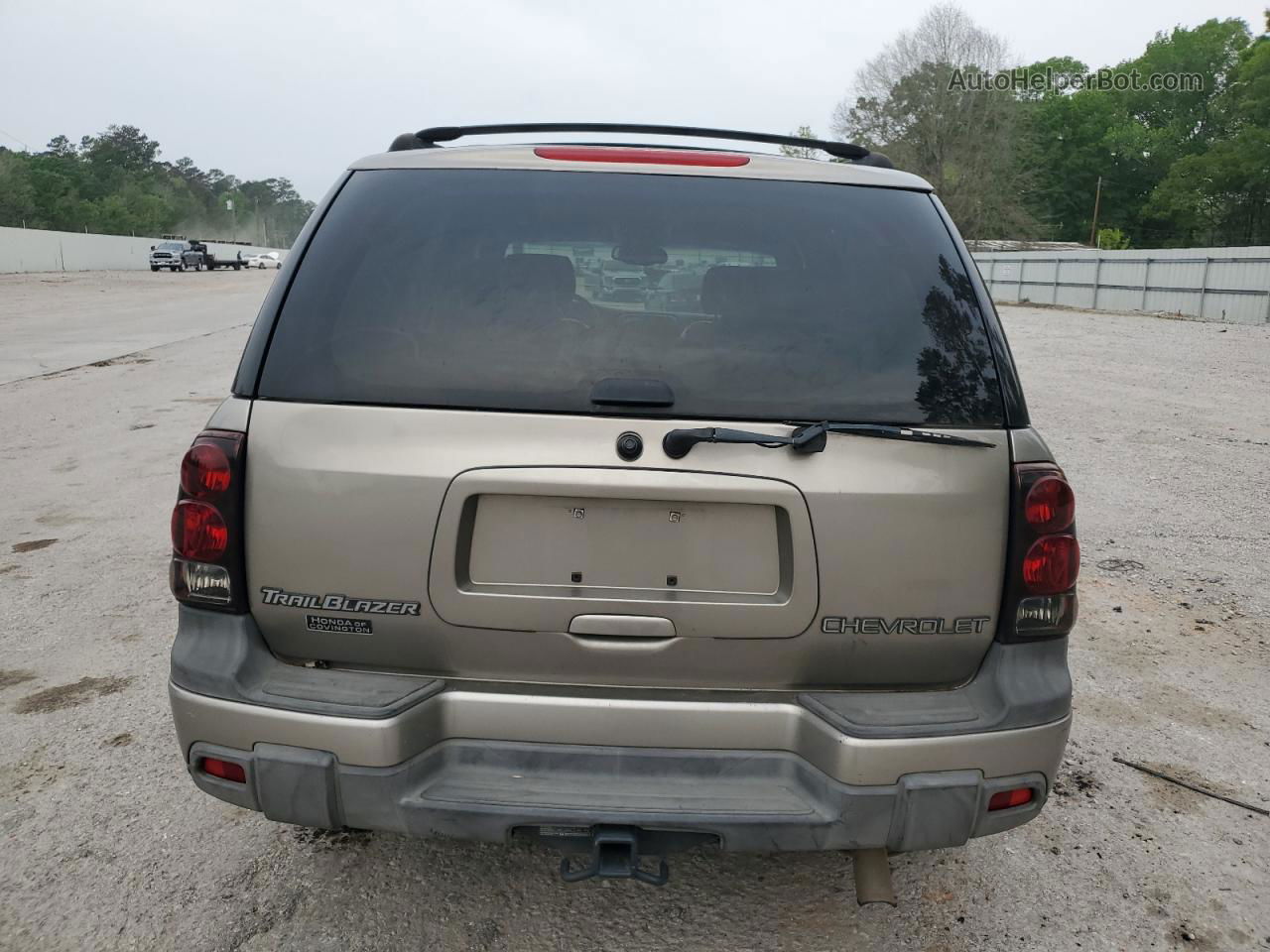 2002 Chevrolet Trailblazer  Beige vin: 1GNDS13S322259045