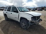 2002 Chevrolet Trailblazer  White vin: 1GNDS13S322358948