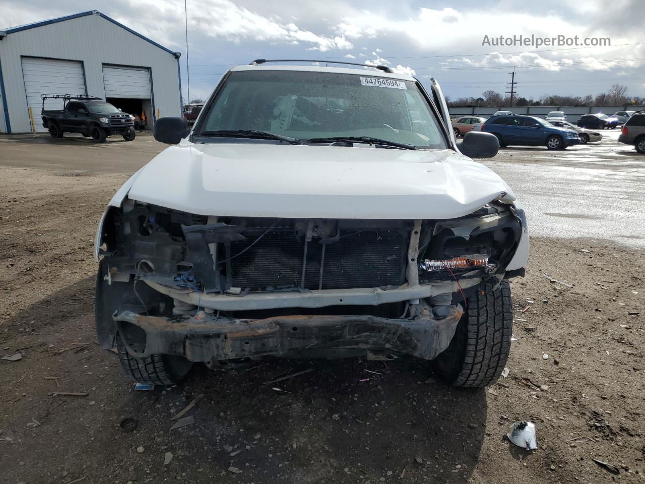 2002 Chevrolet Trailblazer  White vin: 1GNDS13S322358948